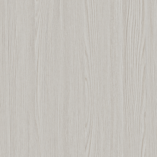 色紙　美点凝視　他 色紙 美点凝視 他