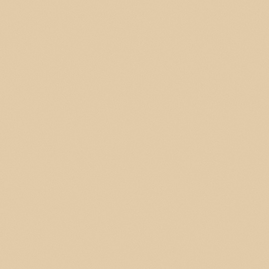 Desert Beige
