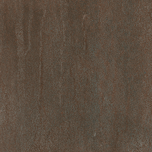 Burnished Coin