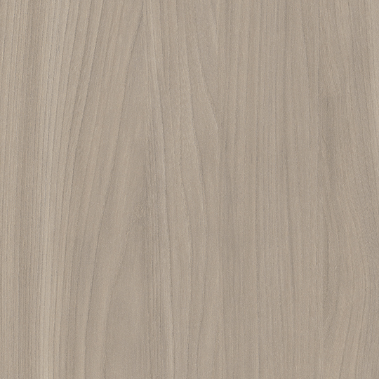 Buff Elm
