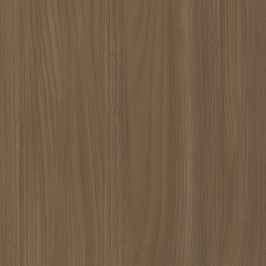 Camel Elm