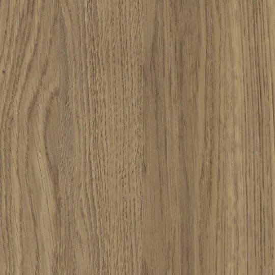 Millenium Oak
