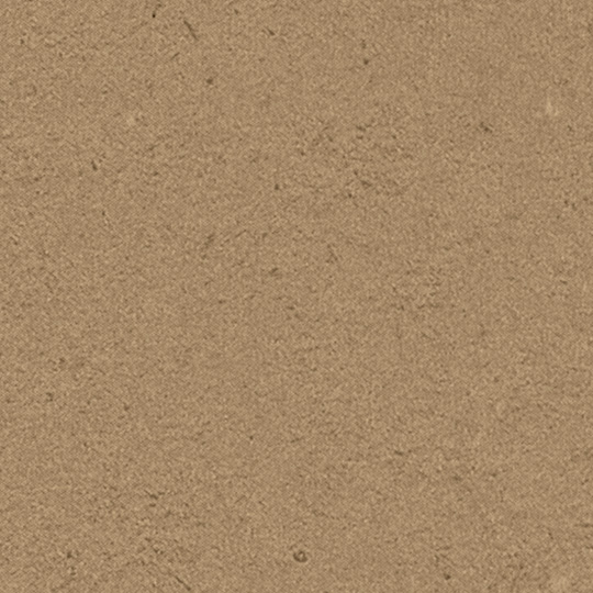 Cardboard Solidz