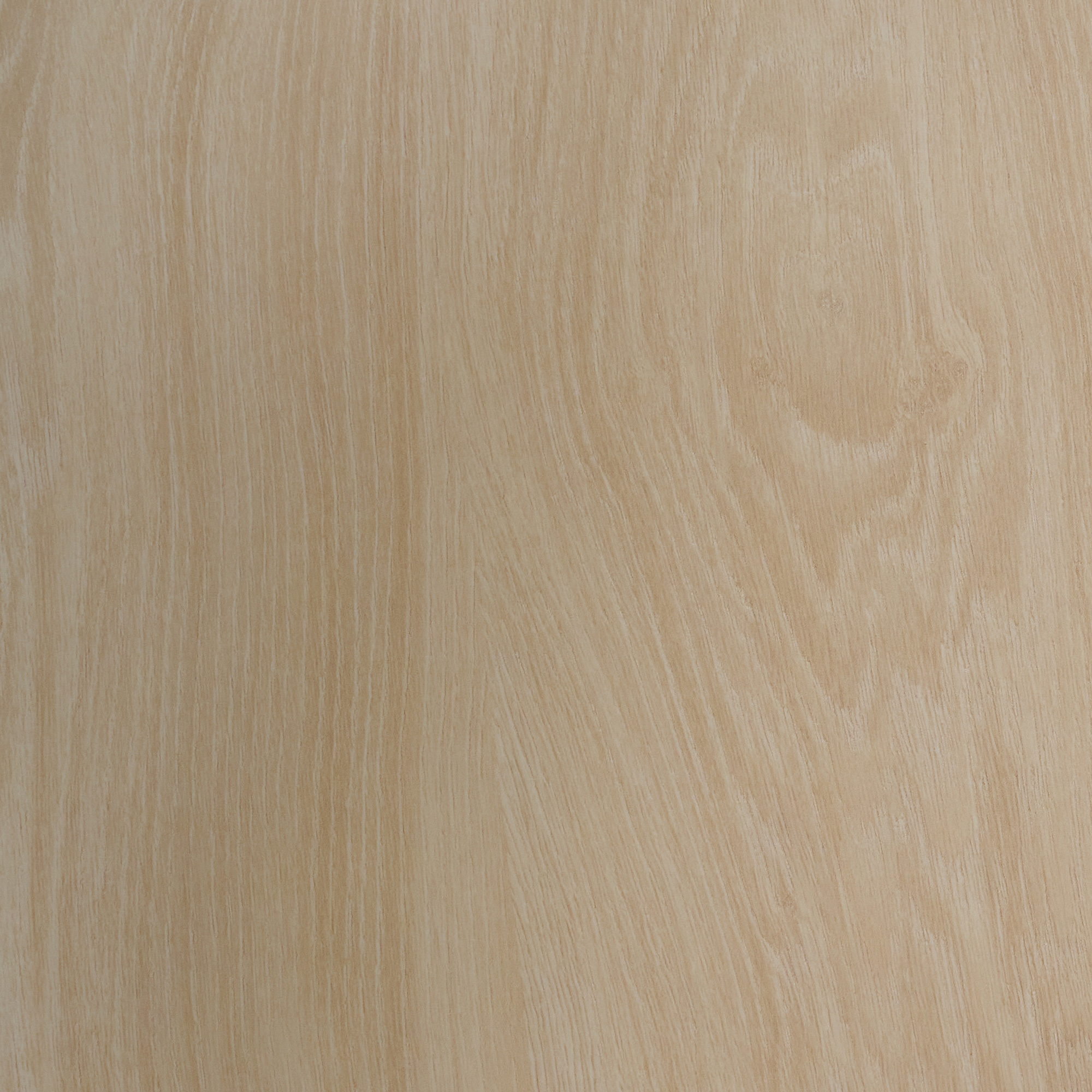 Natural Silk Oak