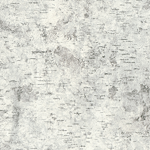Birchbark