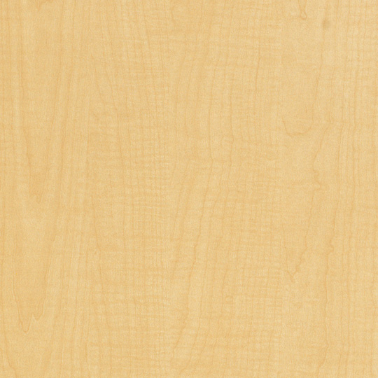 Sand Maple