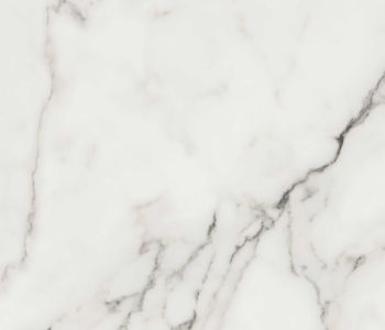 Calacatta Marble Swatch