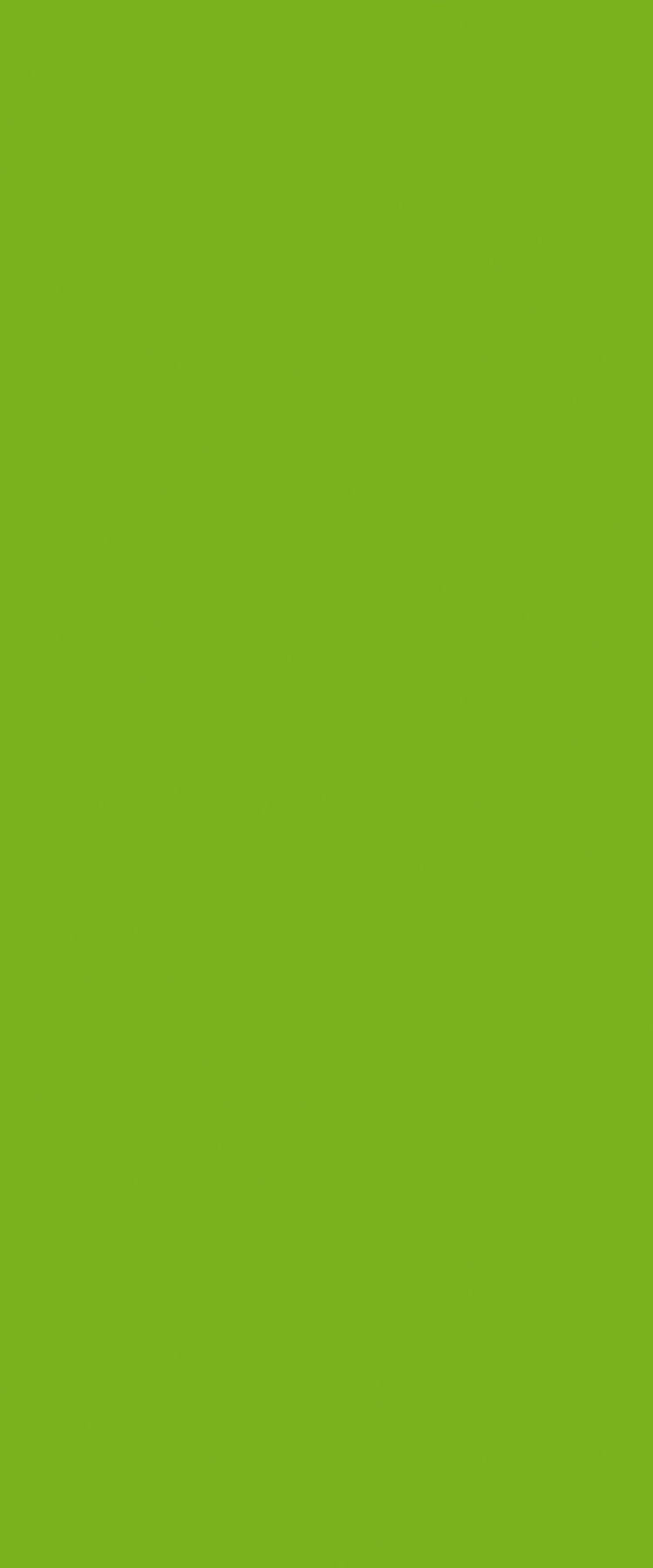 6901 Vibrant Green - Solid Colors