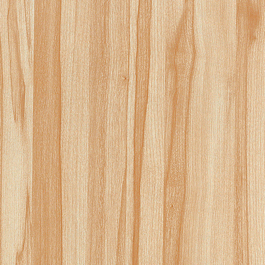 Accent Maple