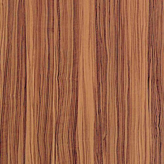 Oiled Olivewood
