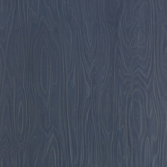 Dark Sky Birchply