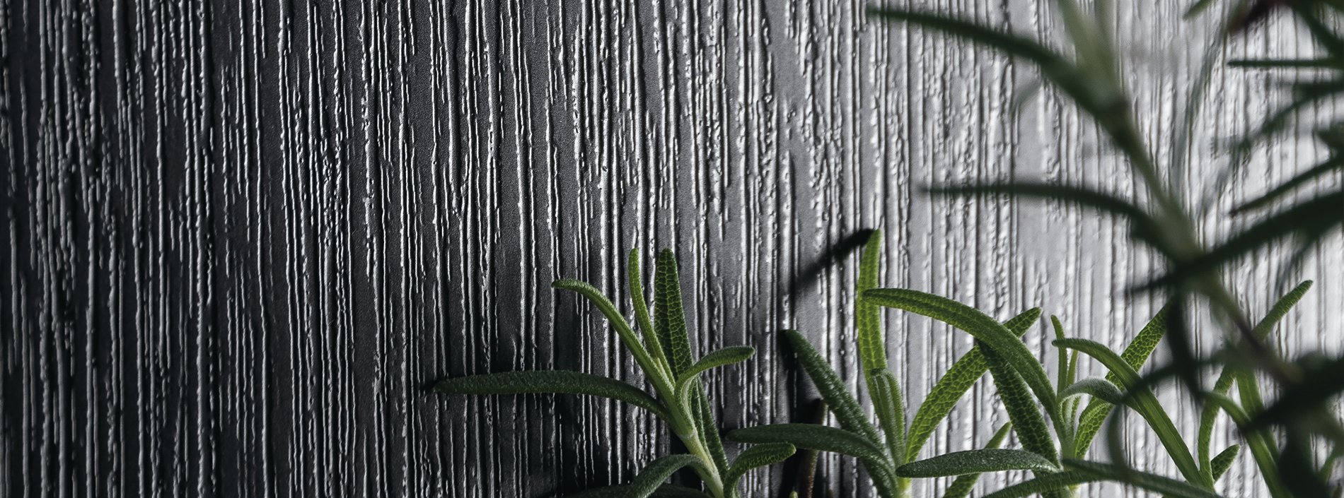 Puregrain feature card 1900x705