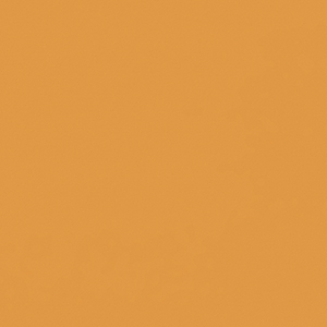 1193 Gold Braze Swatch