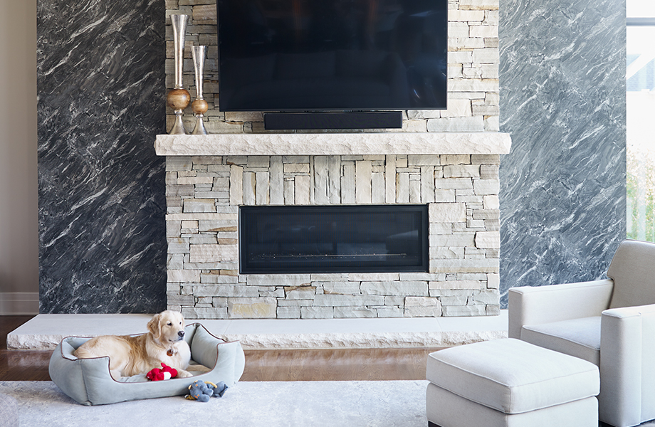 9537 Stormy Night Granite feature wall in living room with fireplace and dog