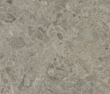 Silver Shalestone Swatch