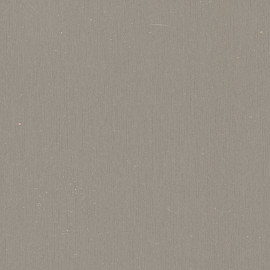 Brushed Argent