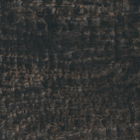 Charred Timber