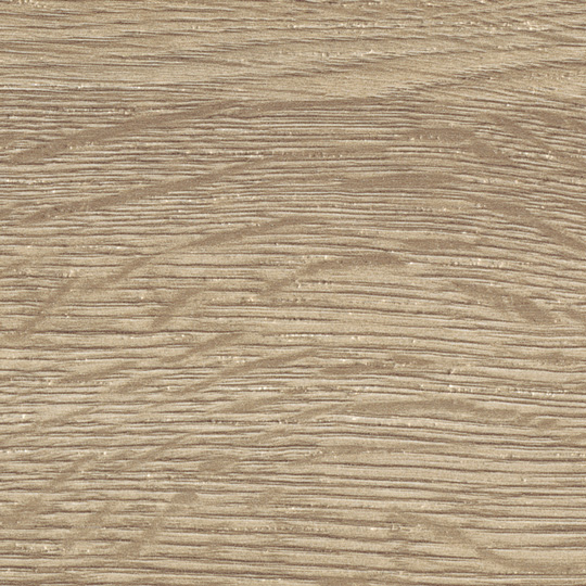 Lido Oak