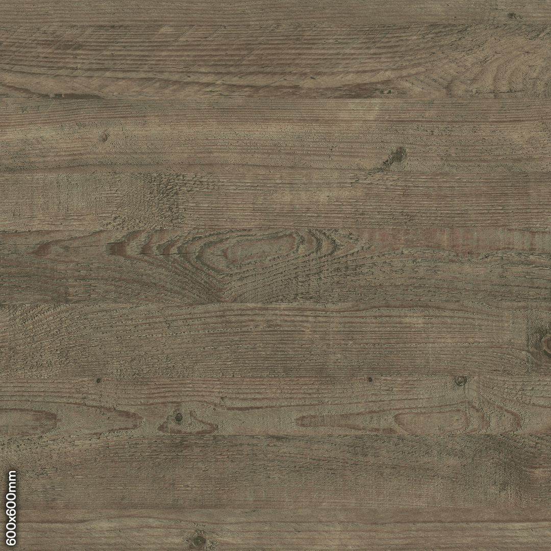 Ravine Wood