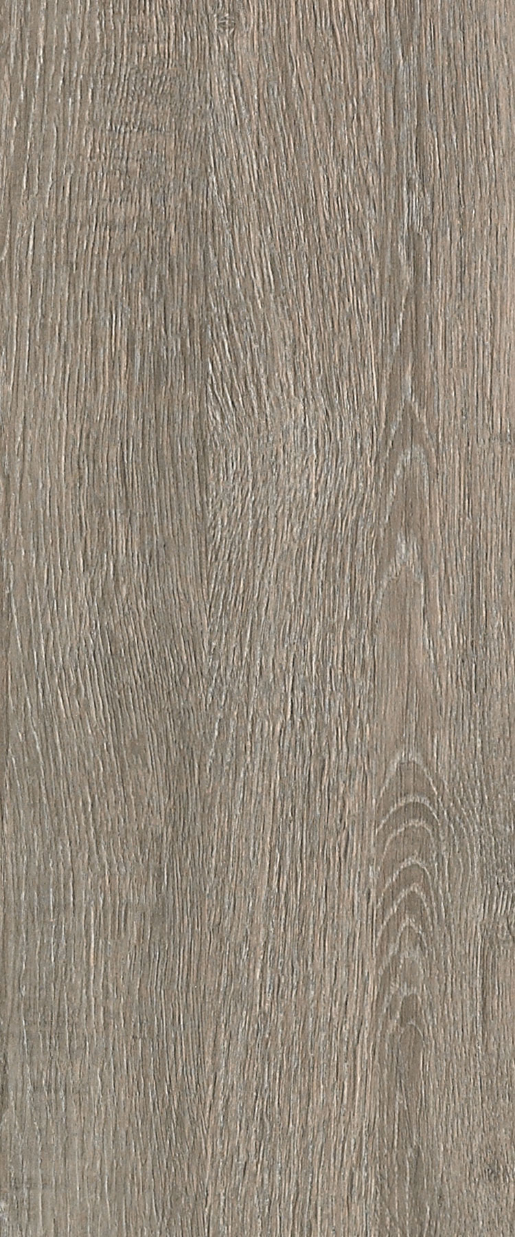8966 Delano Oak Wood Grains