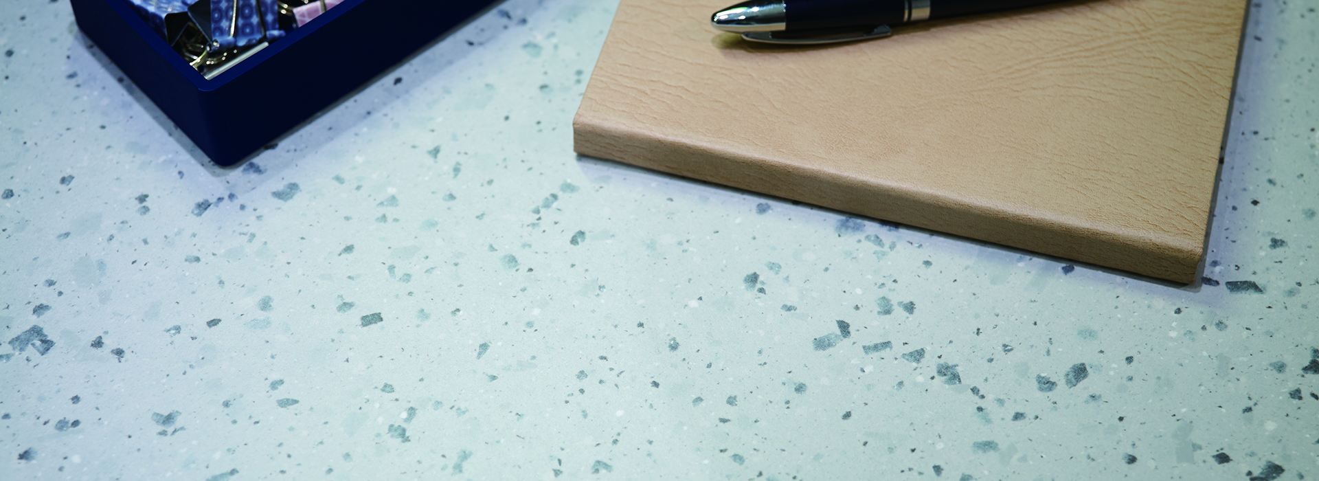 м*е様 セントポーリア AB (AV) Mint Ice Home Accents - Flowers/Greenery, Patio/Garden Decor | Metro