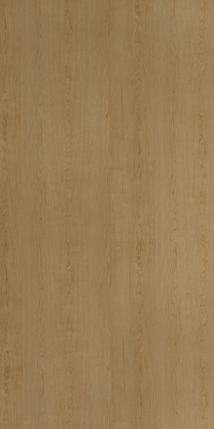 樹全景 9966 Hill Top Maple - Wood Grains