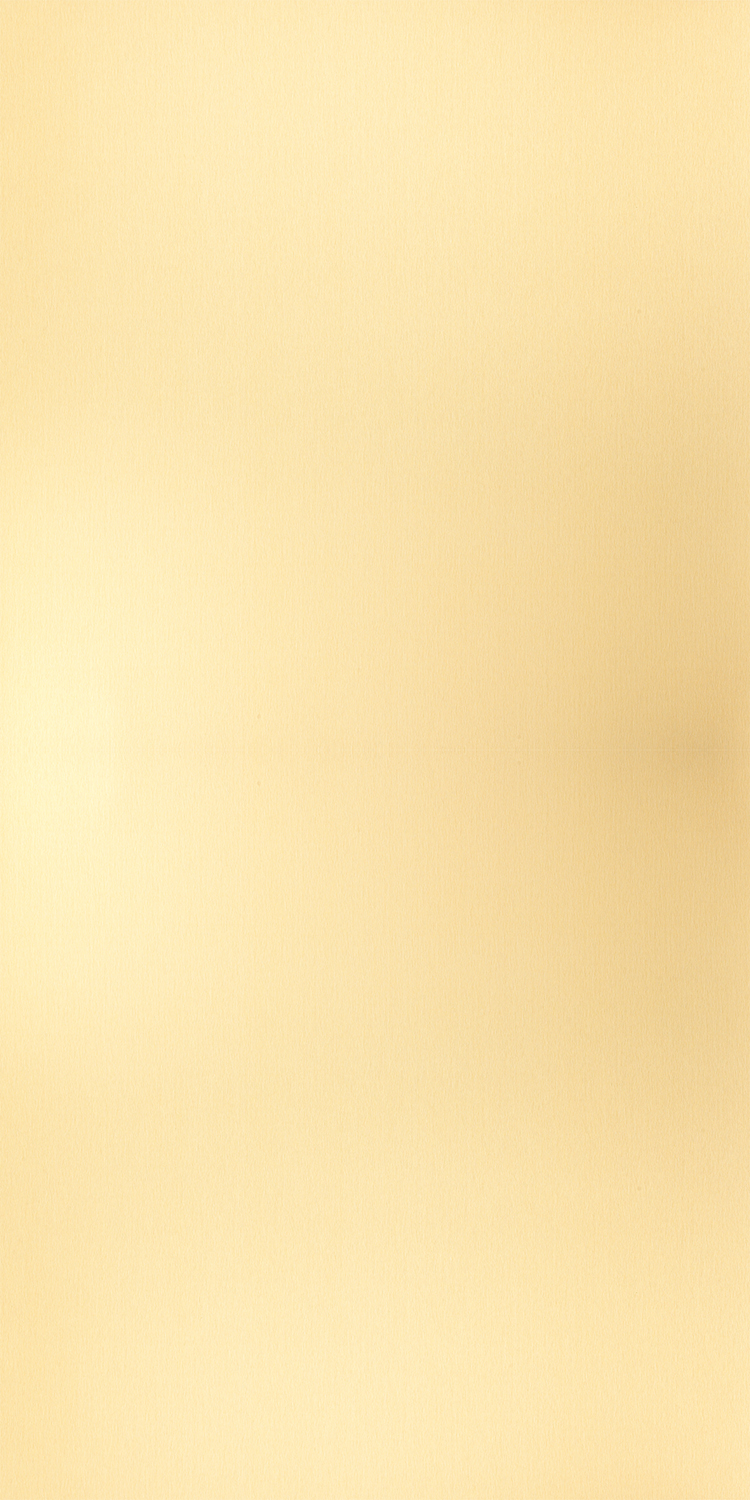 D8123 Gold Brush - Decometal