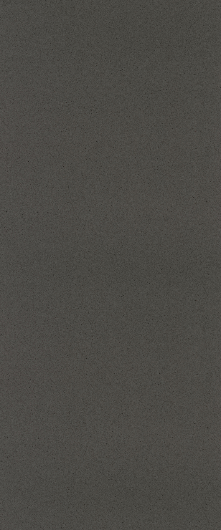 PP6366 Paloma Dark Grey Axiom by Formica Group