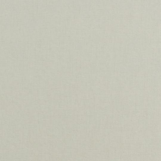 Beige Canvas