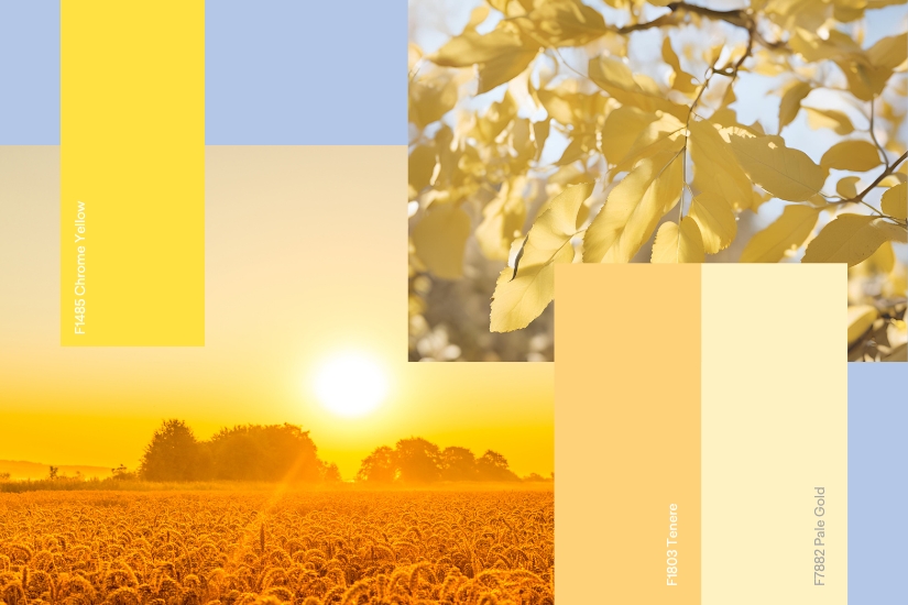 NeuroInclusive Design with Yellow, Purple and Grey Formica Group