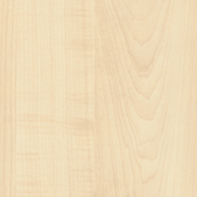 Mountain Maple