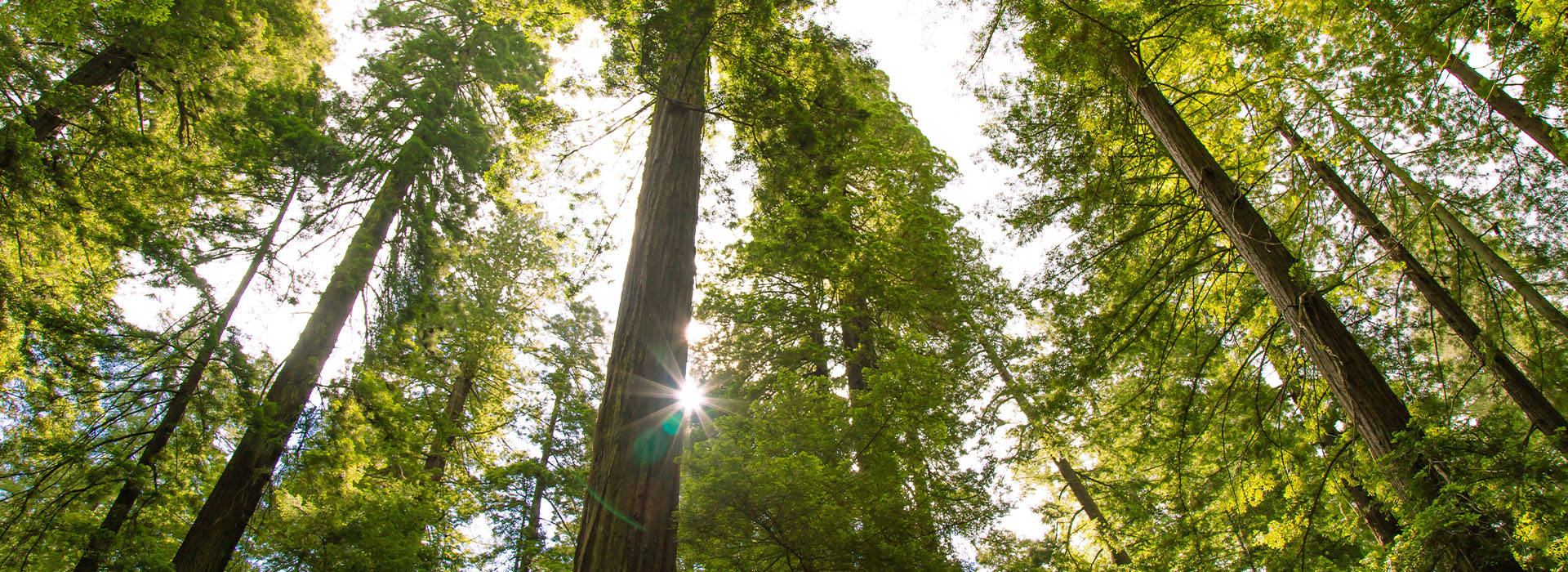 Formica Sustainability Efforts
