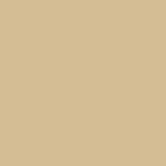 0958 Beige - Solid Colors