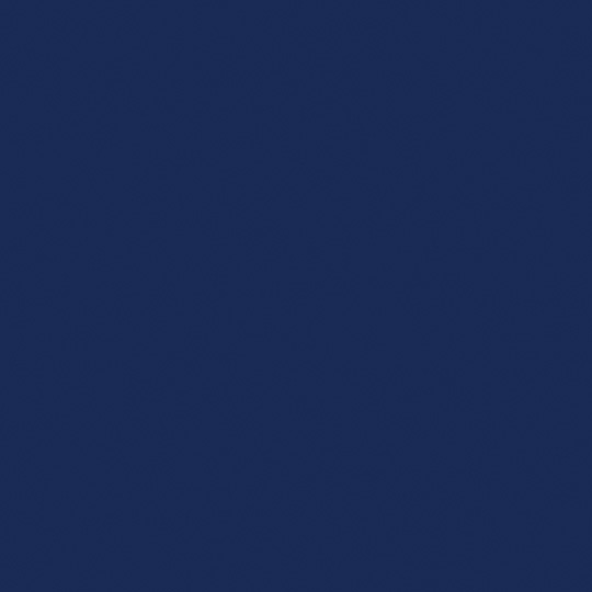 navy blue swatch