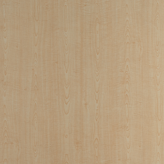French Sycamore