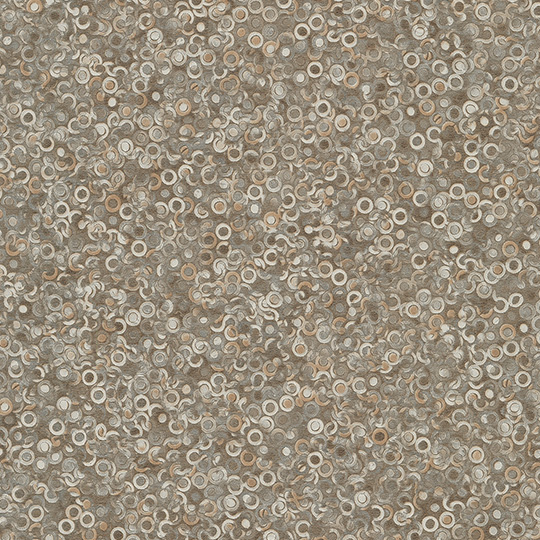 Formica beluga Formica beluga