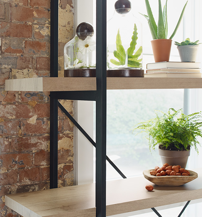 planked urban oak