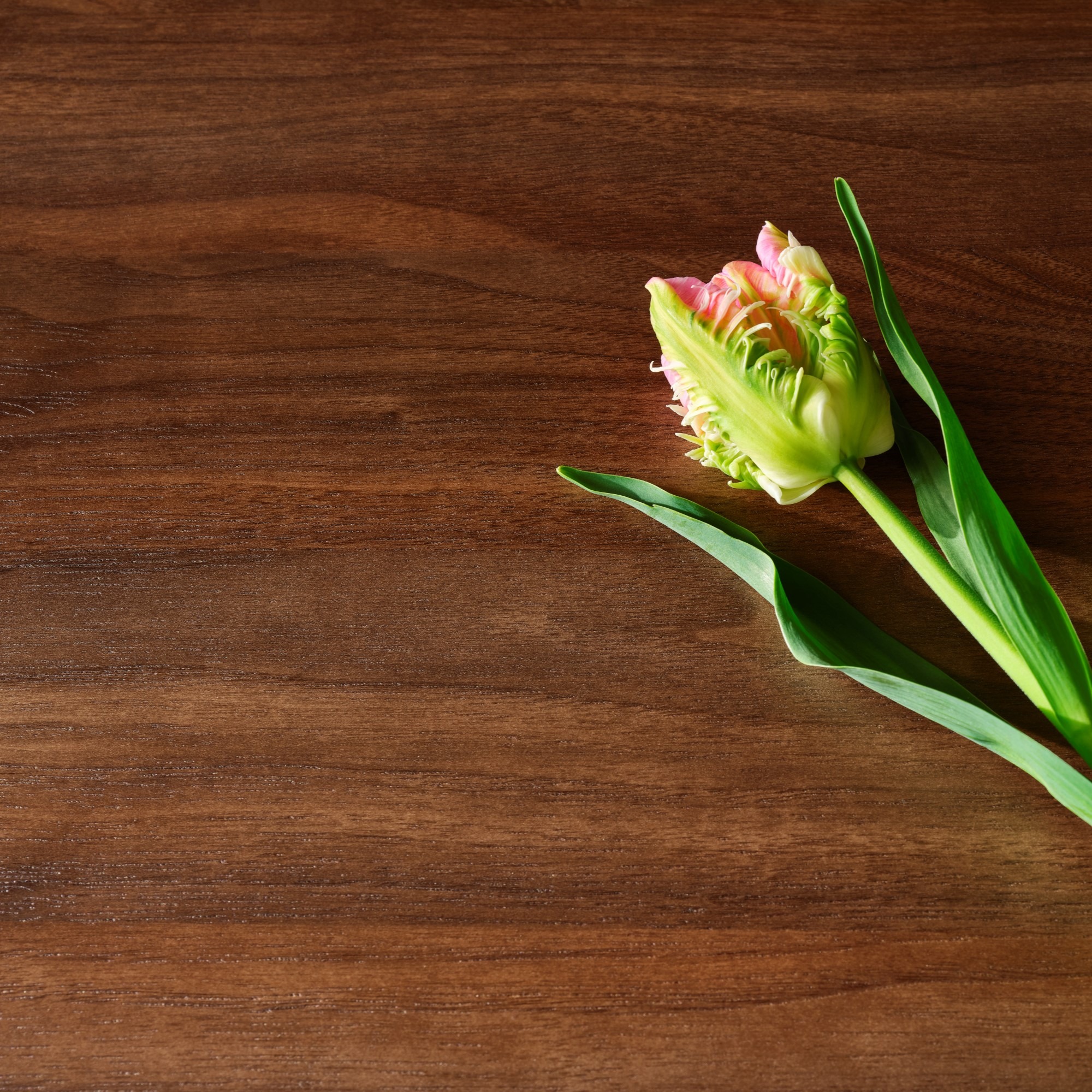 8259 Steamed Luster Walnut