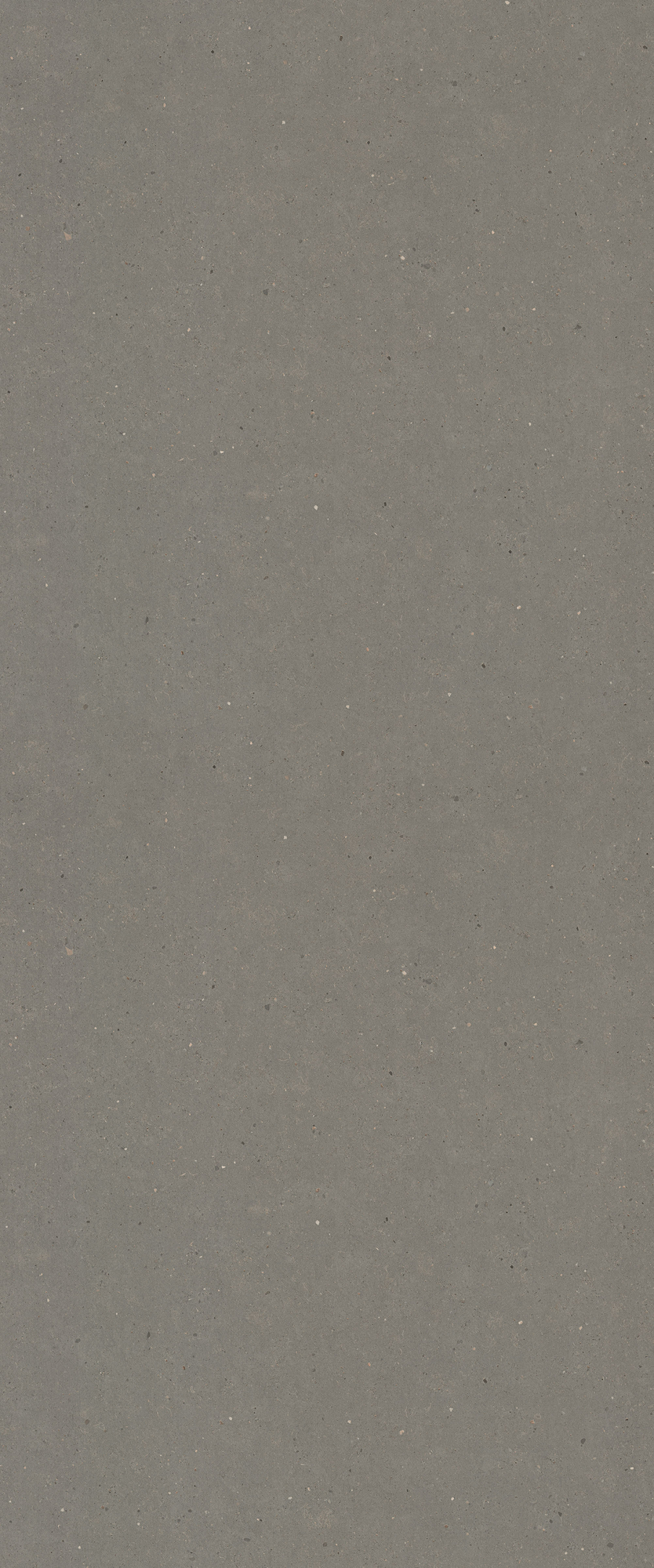 9037 Flint Siltstone - Formica® Laminate - Commercial