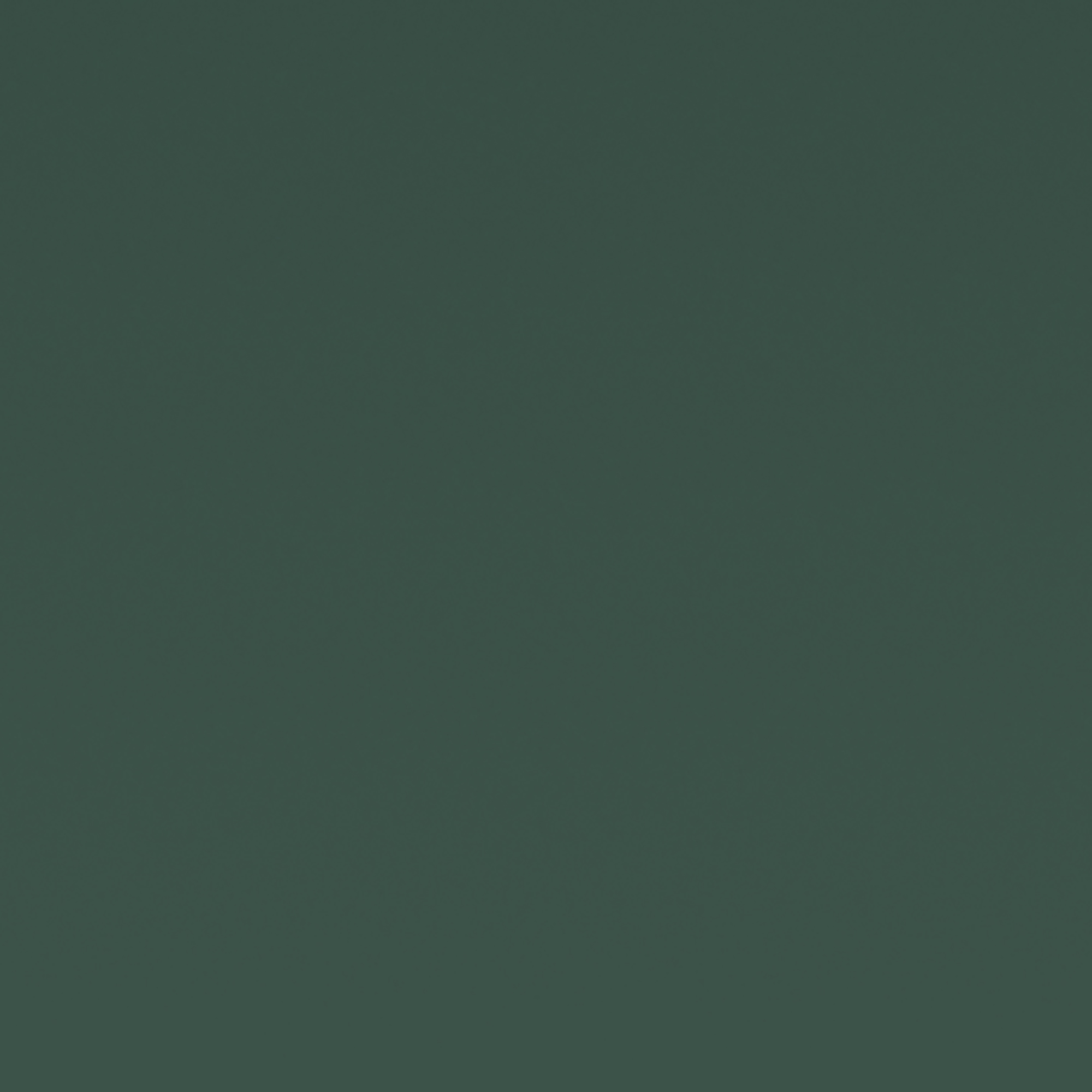 MH199 Swatch