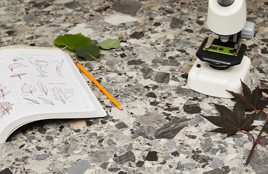 Glass.Mapper.Sc.Fields.Image?.Alt