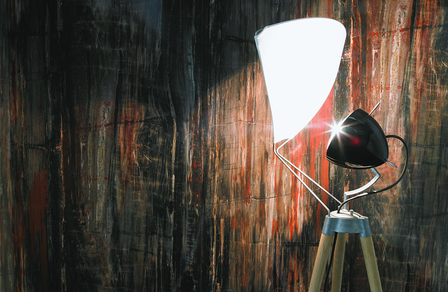 Petrified Wood 180fx laminate being photographed with light shade