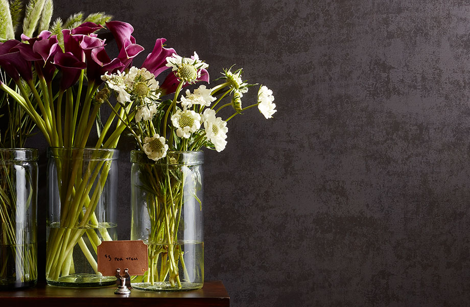 A Glimpse into the Elegant World of Laminates