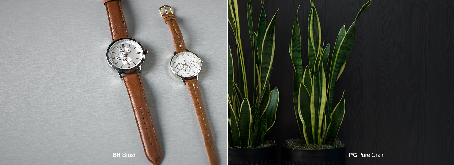 Watch and plant