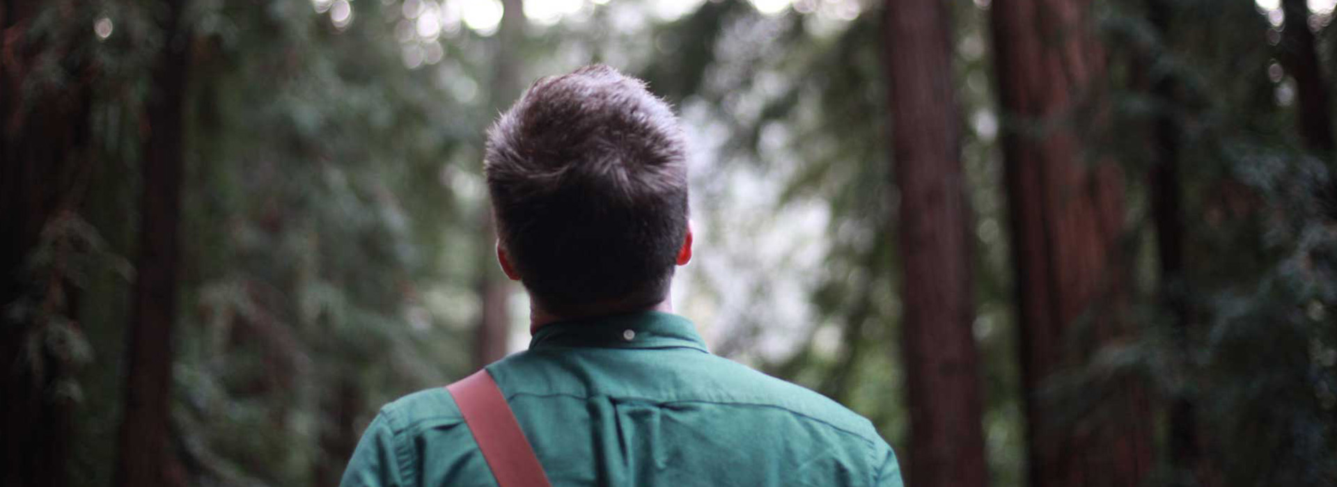Man in Woods