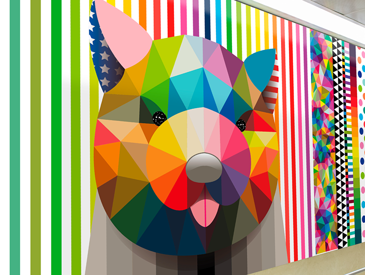 cabecera1 730x550