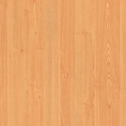 American Maple
