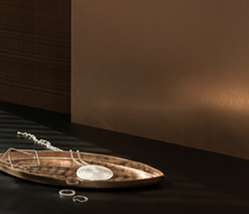 Castle.Proxies.IUpCardProxy?.CardImage?.AltText