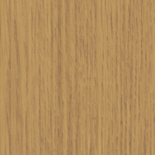 Evergreen Oak