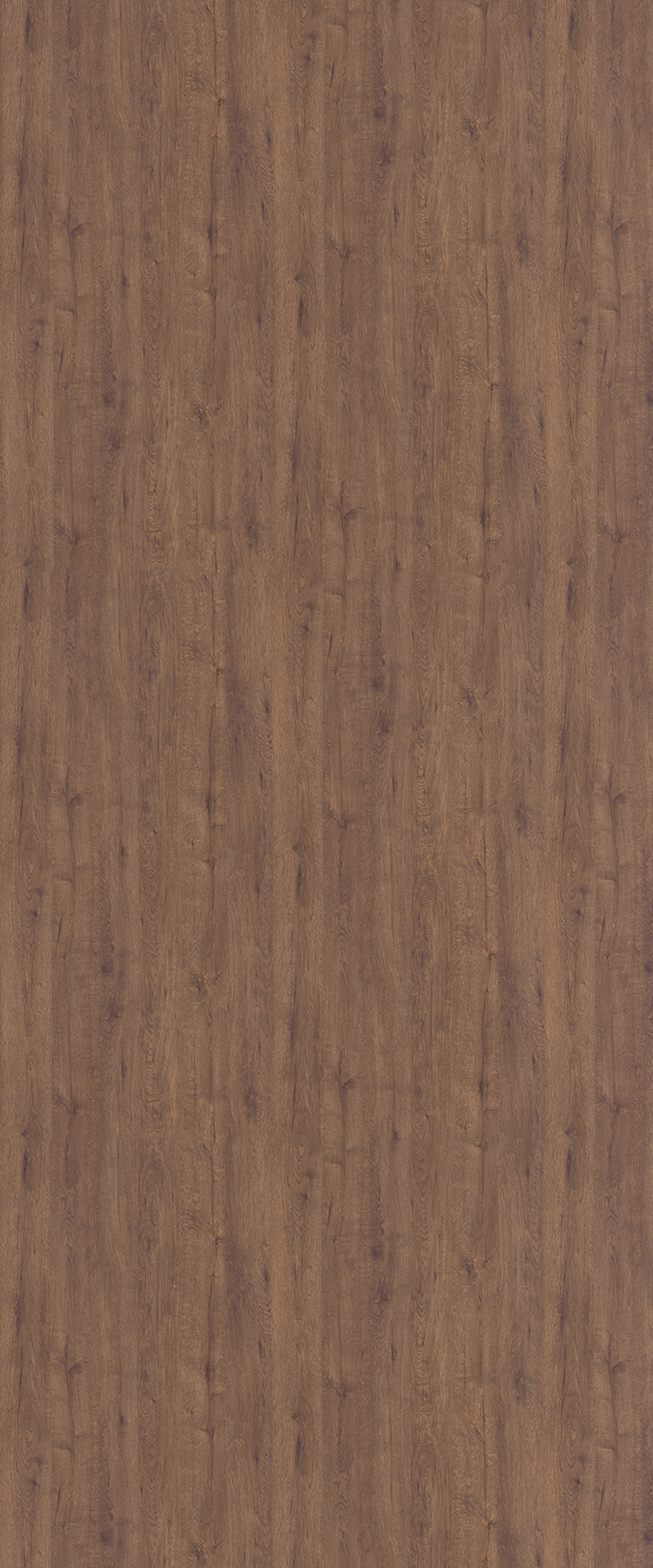 9643 Cinder Wood